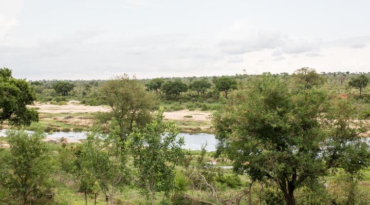 Ziziphus River Lodge