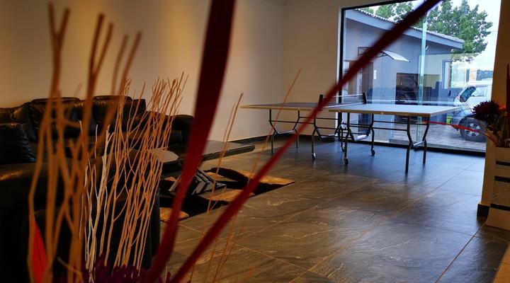 Green Olive Panorama