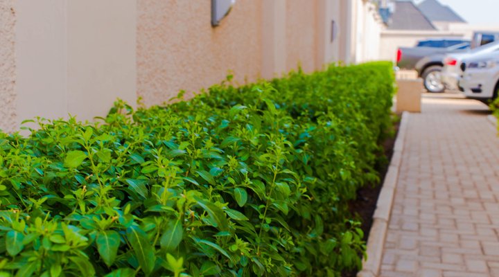 Tenny's Place Apartment