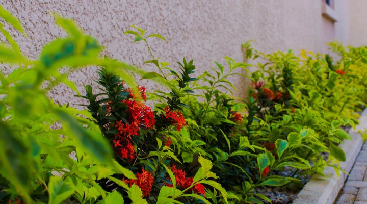 Tenny's Place Apartment