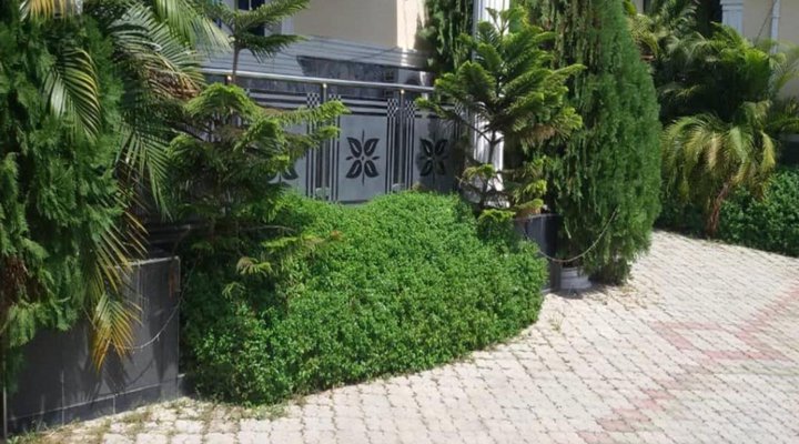 Blue-View Hotel & Apartment