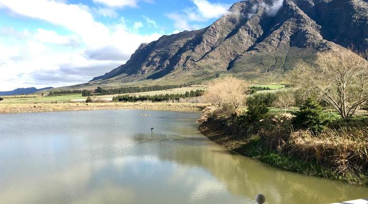 The Boathouse at Oakhurst Olives