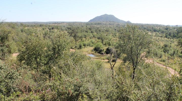 Leopard Rock Bush Lodge