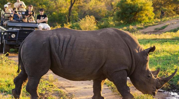 Woodlands Guest House