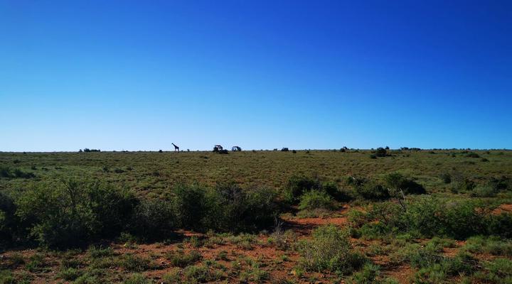 Blaauwbosch Private Game Reserve