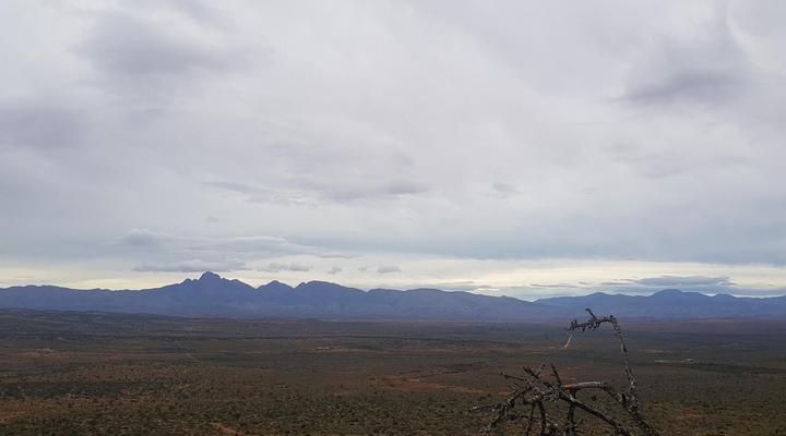 Blaauwbosch Private Game Reserve