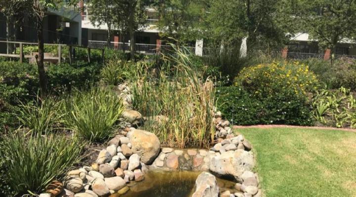 Luxury 2 bedroom apartment in Century City