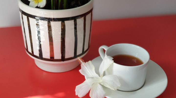 Namaste Suite in Southbroom