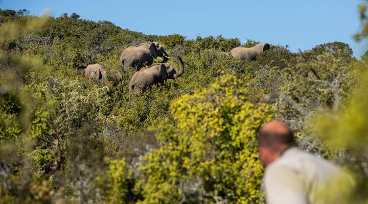 Magic Hills - Sky Lodge