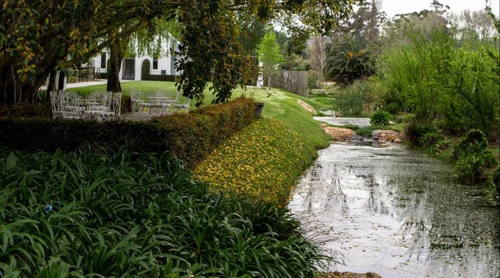 Brenaissance Wine & stud Estate