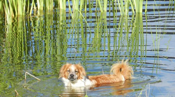 New Beginnings Cottage