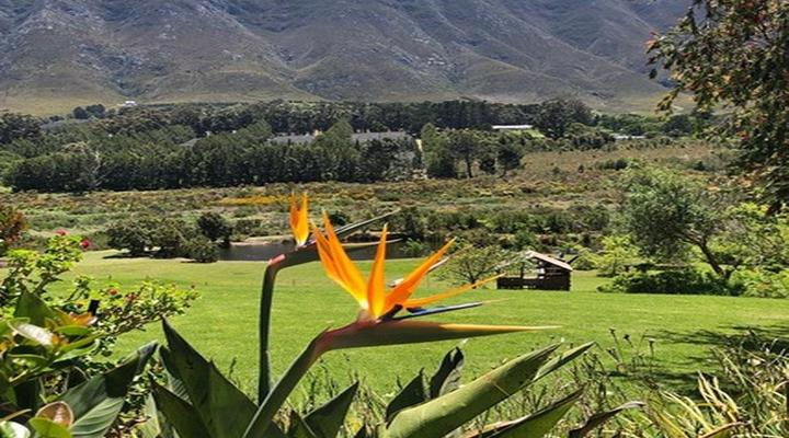 Hemel en Aarde Cottages