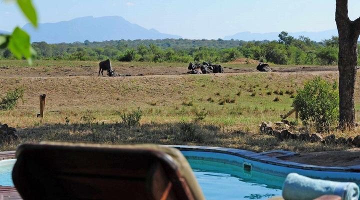 Tangala Safari Camp