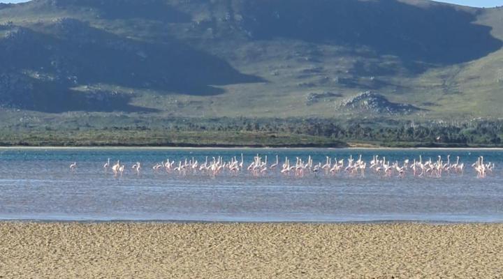 Little Haven 10 & 12