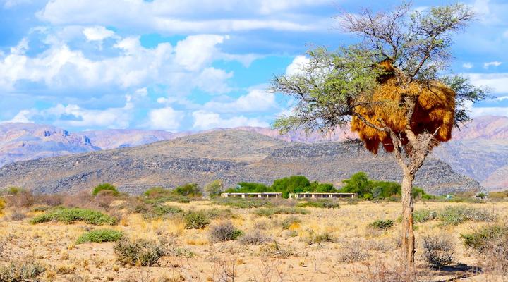 Weltevrede Guest Farm