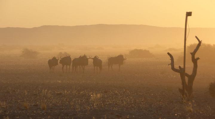 Weltevrede Guest Farm