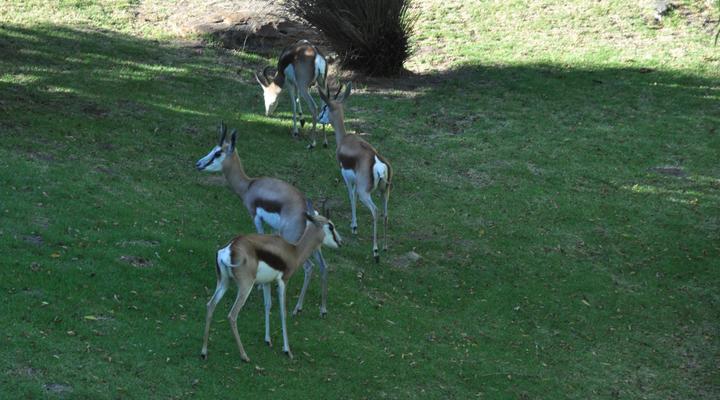 Houtkapperspoort Mountain Cottages
