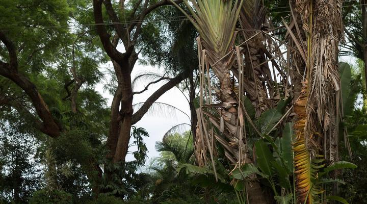 St George's Guest House