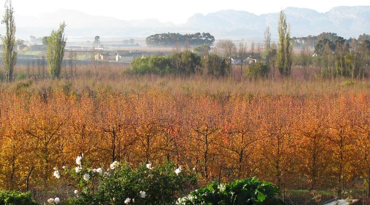 Rhodene Farm Cottages