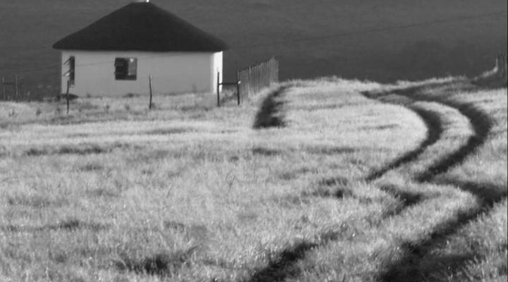 Wild Coast Homestays