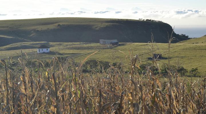 Wild Coast Homestays