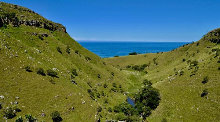 Wild Coast Homestays