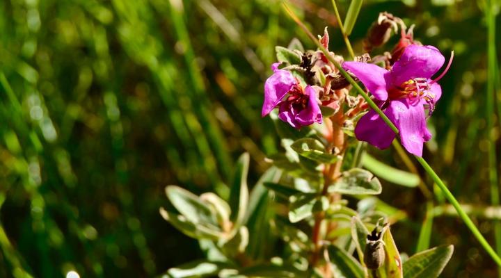 Wild Coast Homestays