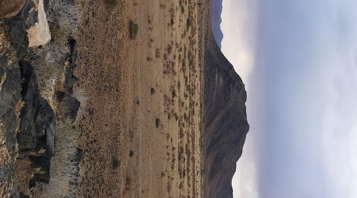 Weltevrede Guest Farm