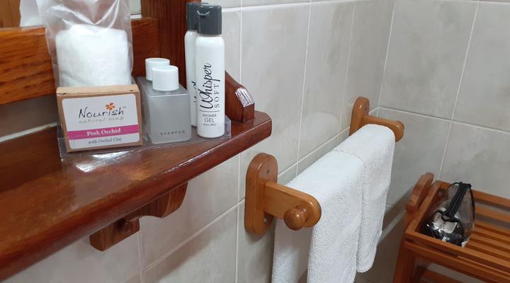 Blue Dolphin Guest Suite