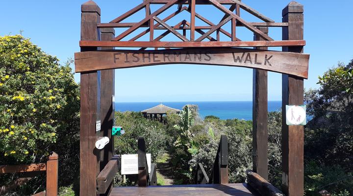 Blue Dolphin Guest Suite