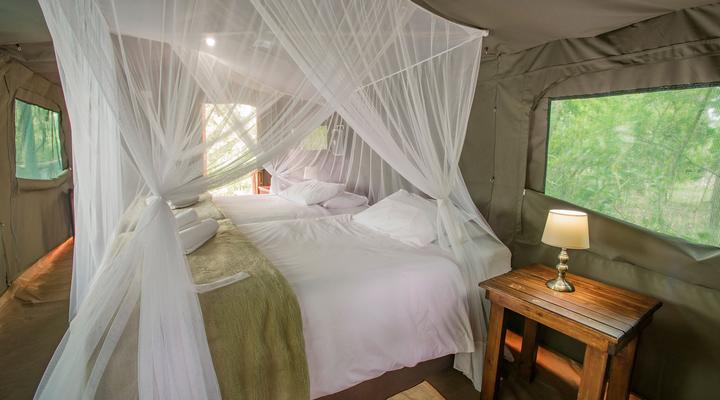 aha Buffalo Rock Camp