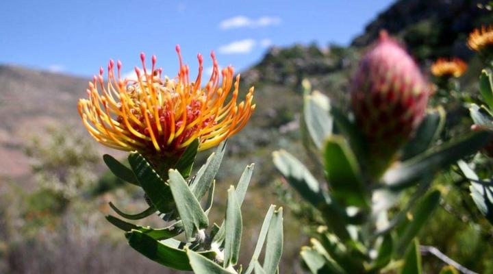 Leopard Valley Eco Retreat