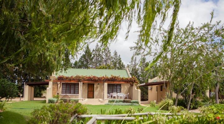 Skilpadvlei Wine Stellenbosch