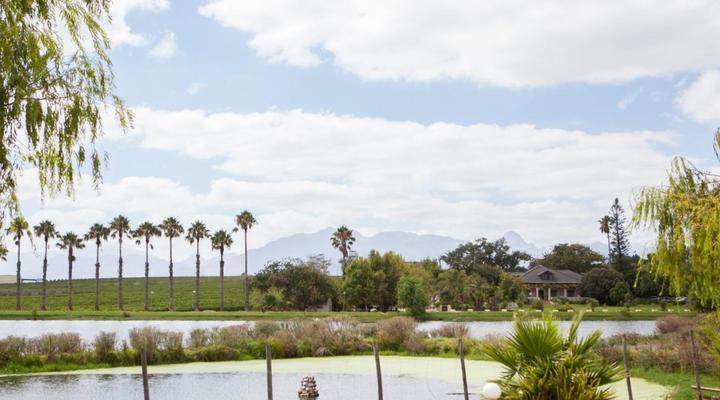 Skilpadvlei Wine Stellenbosch