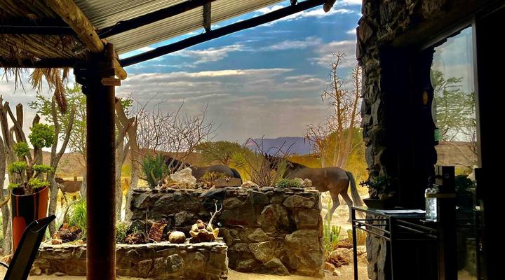 Daureb Isib Campsite and B&B