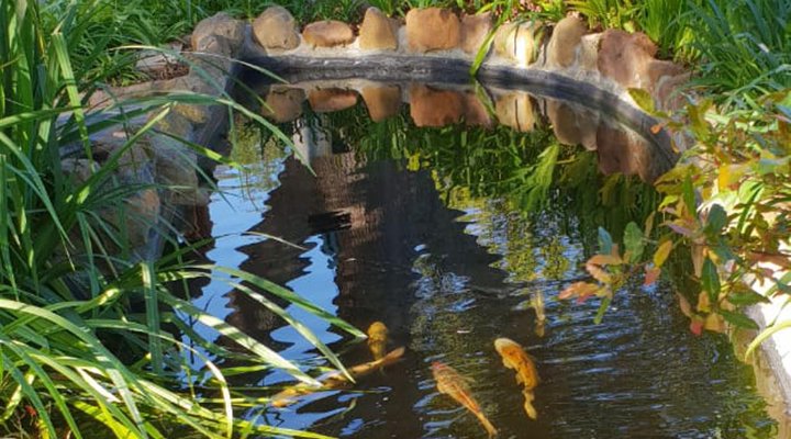 Cap Serein Guest House