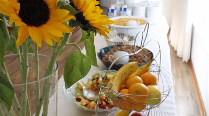 Chaston Manor Guest House