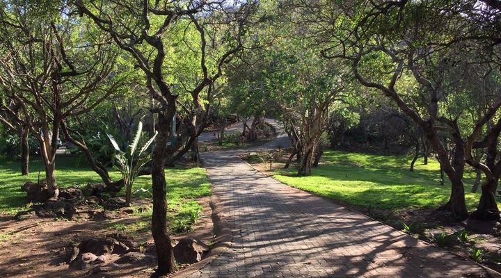 Cycad Rock Fishing Lodge