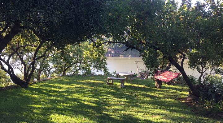 Cycad Rock Fishing Lodge