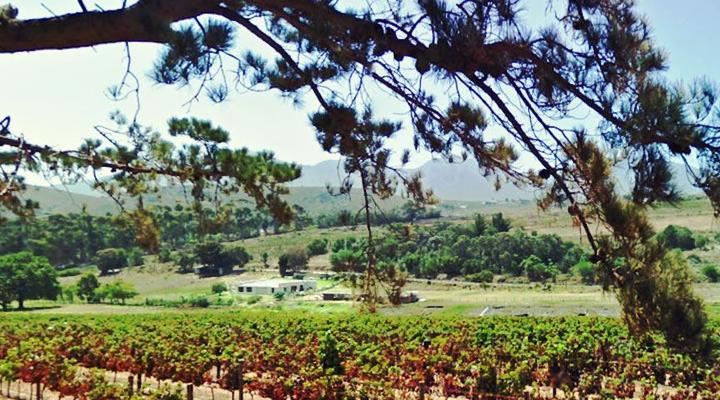 Earth Cottage Hermanus