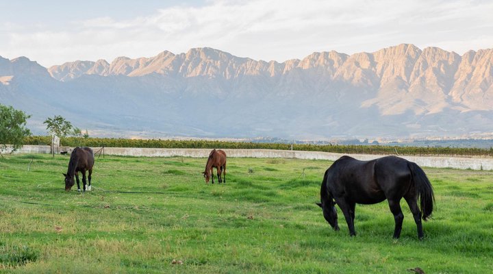 Oude Compagnies Post