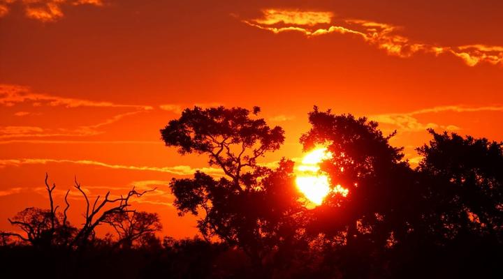 Marloth Wild Fig Studio