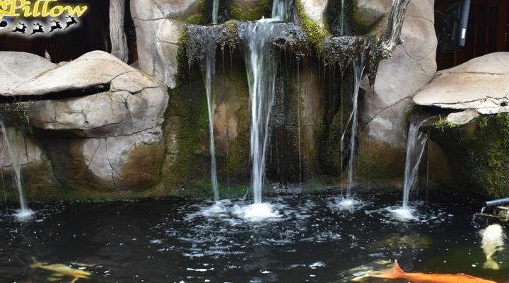 Golden Pillow Polokwane