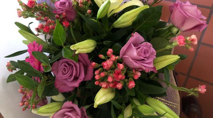 Villa Jana Guest House