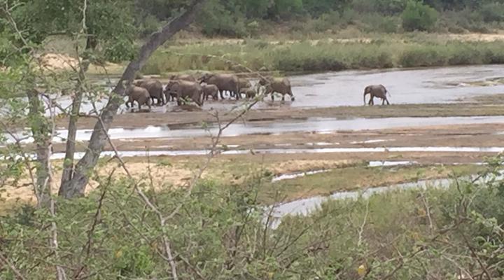 QV Africa Collection - Phala Lodge