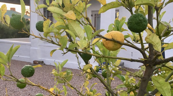 Stanford Holiday House