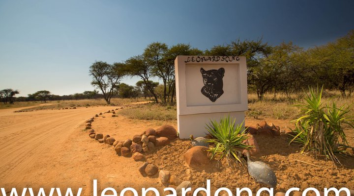 Leopardsong Game Lodge