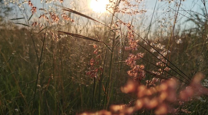 Leopardsong Game Lodge