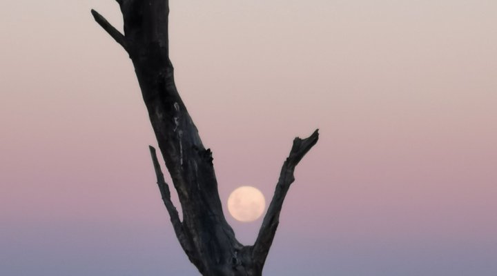 Leopardsong Game Lodge