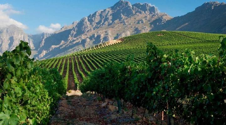 107 Dorpstraat Boutique Hotel